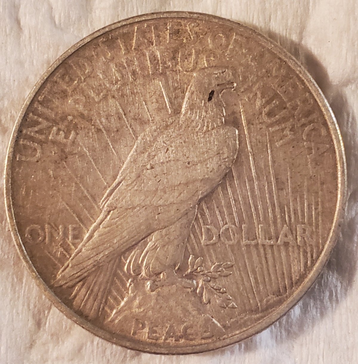 Need-A-Grade-On-This-1922-P-Peace-Dollar-Please