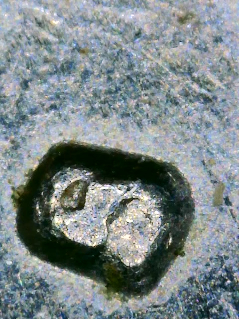 Just-A-Damaged-Mintmark,-Or-Maybe-An-RPM-On-This-1979-S?--Susan-B-Anthony-Dollar