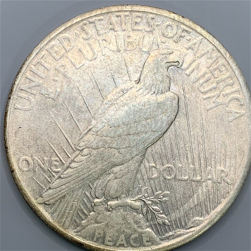 1928-Peace-Dollar-Grade-Request