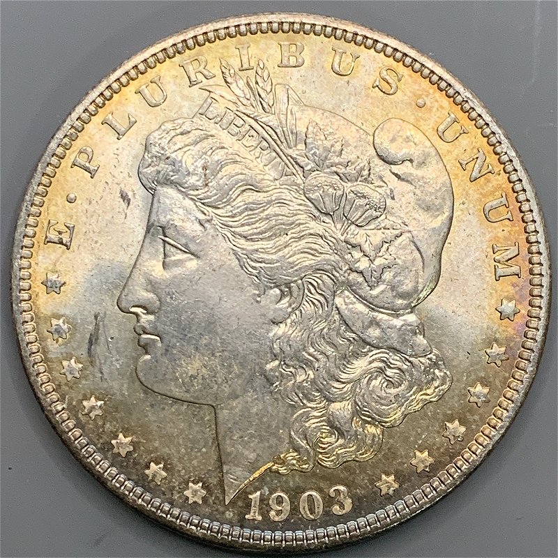 1903-Toned-Morgan-Dollar