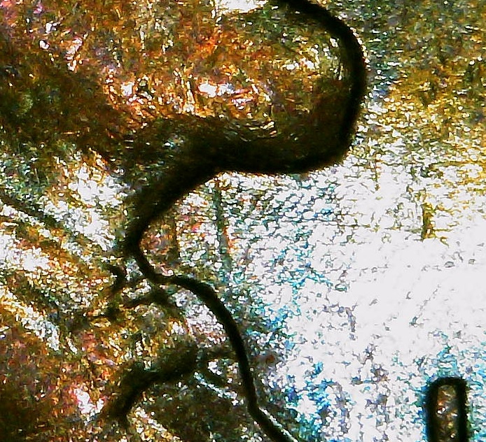 1957-D-Lincoln-Wheat-Cent-Die-Clash-And-Odd-Die-Gouge?