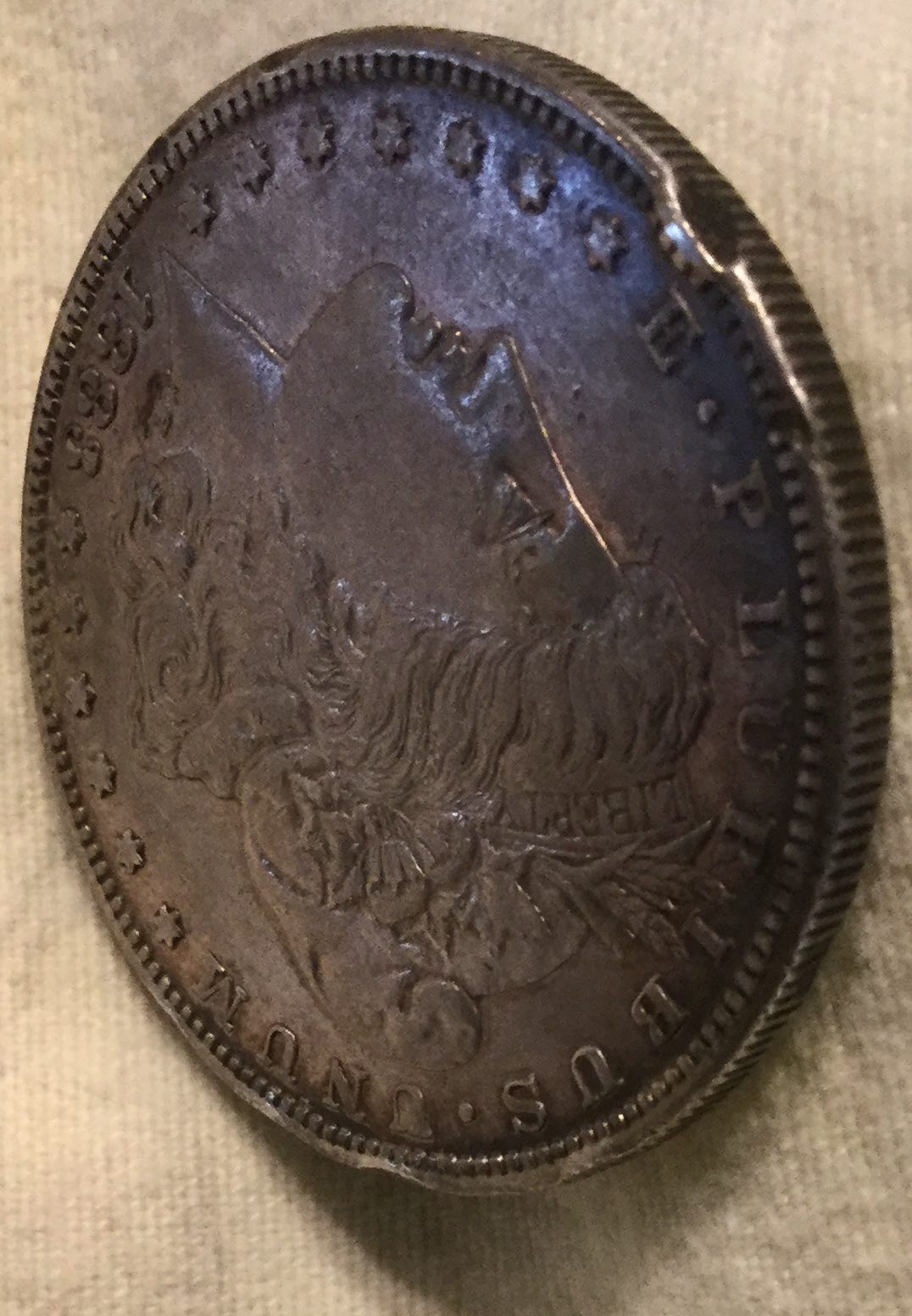 Three-Morgan-Dollars:-Grading-For-Environmental-Damage-Vs-Bag-Damage?