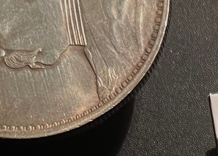 Fat-Man-Dollar-Real-Or-Fake