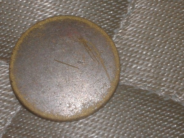 What-On-Earth-Is-This?