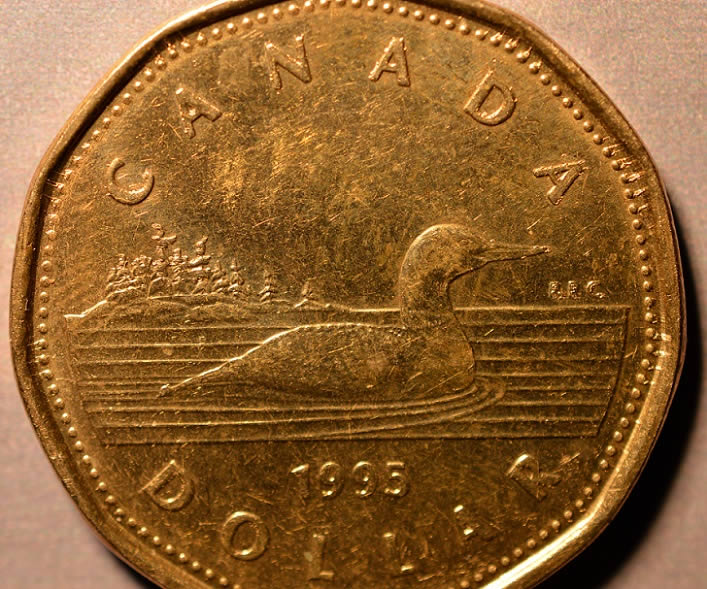 1995-Loonie.-Accumulation-&-Trails?