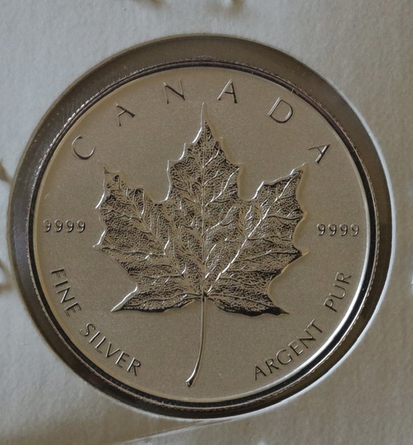 Silver-Maple-With-Both-Sides-Showing-The-Reverse