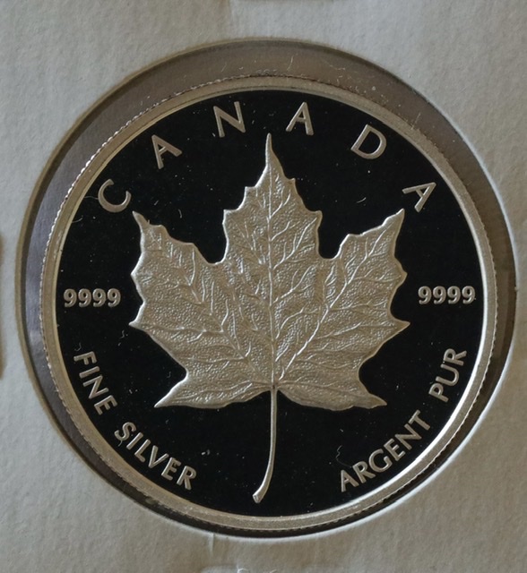 Silver-Maple-With-Both-Sides-Showing-The-Reverse