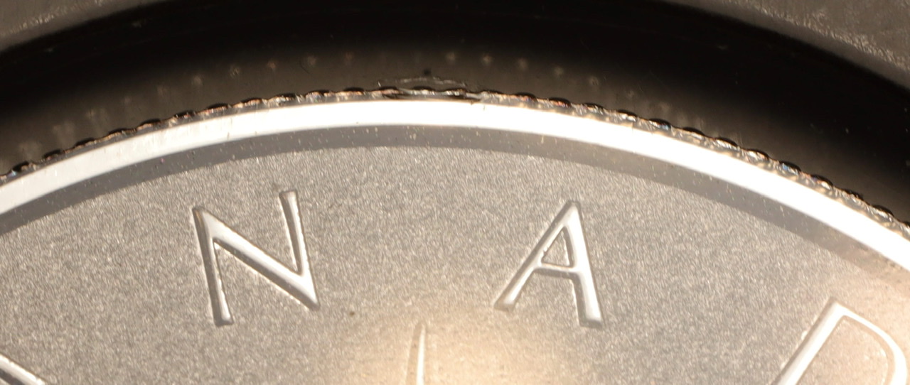 Silver-Maple-With-Both-Sides-Showing-The-Reverse