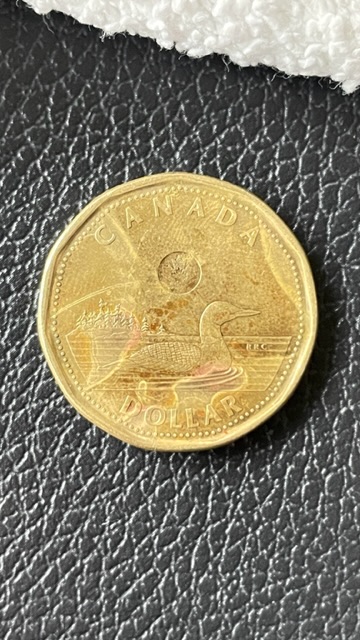 2022-Loonie---ErrorS