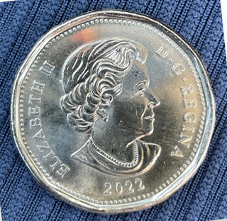 Asking-For-Help-With-This-2022-Loonie