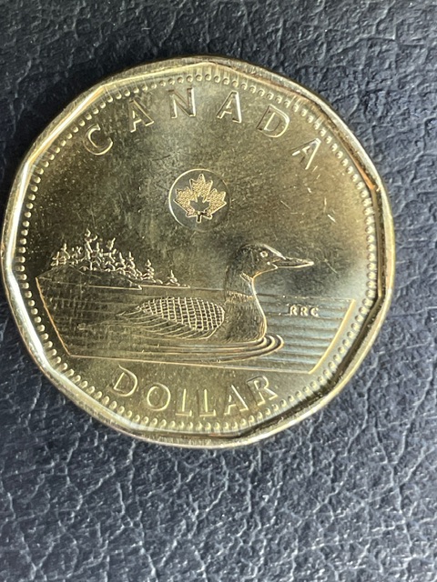 Asking-For-Help-With-This-2022-Loonie