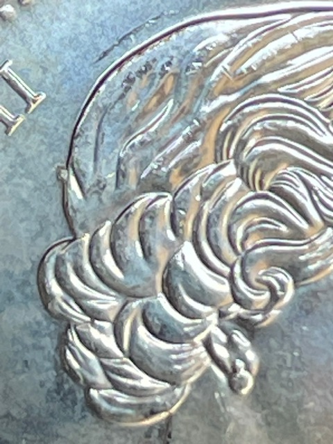 Asking-For-Help-With-This-2022-Loonie