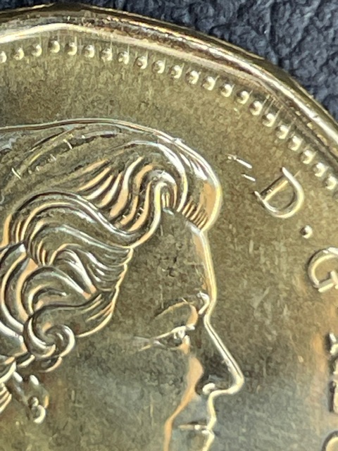 Asking-For-Help-With-This-2022-Loonie