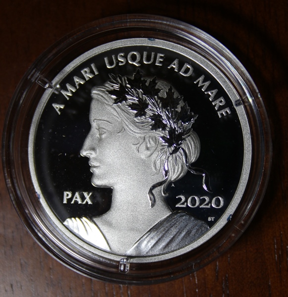 2020-Peace-Dollar-Corrosion
