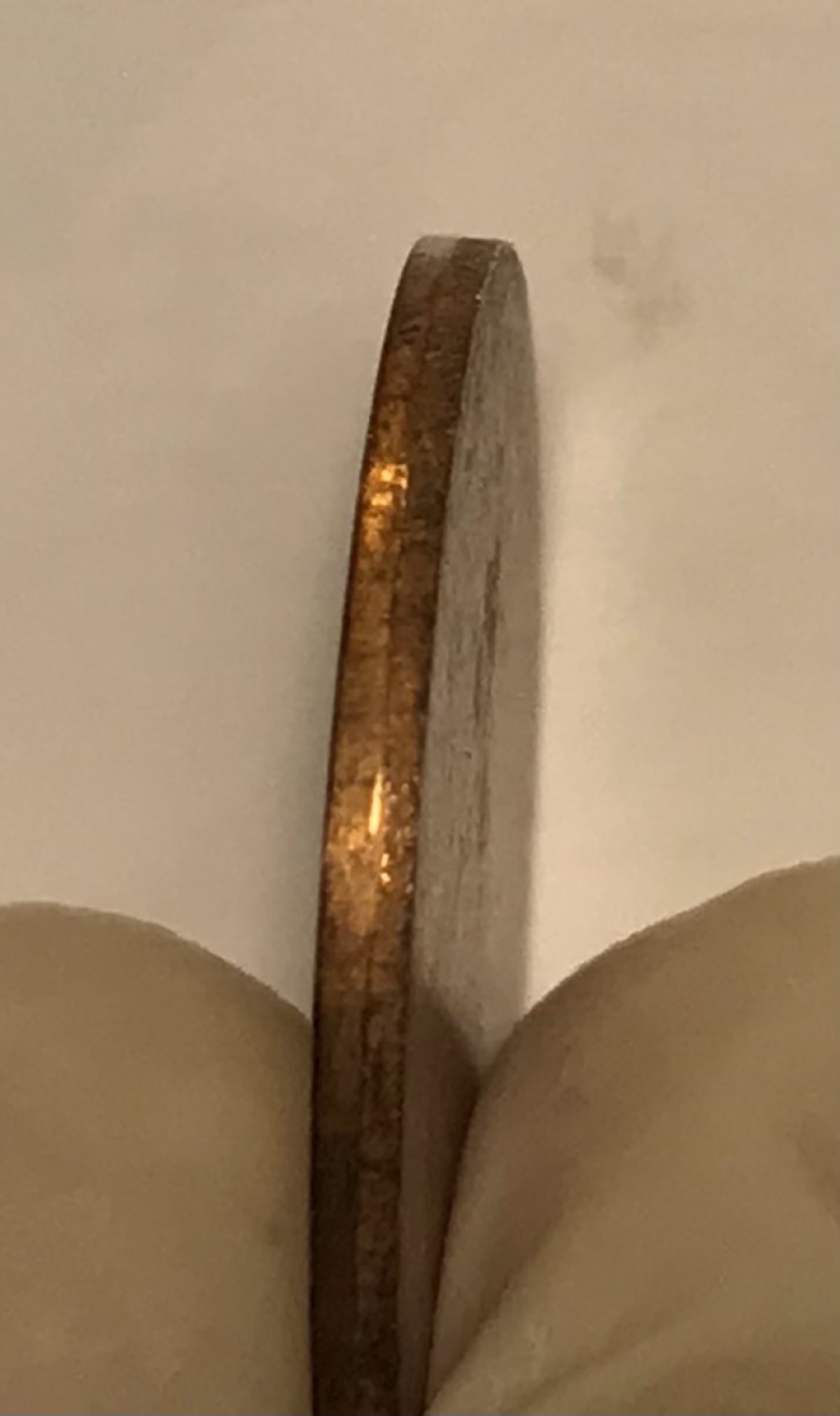 Blank-Planchet-Or-Slug-?