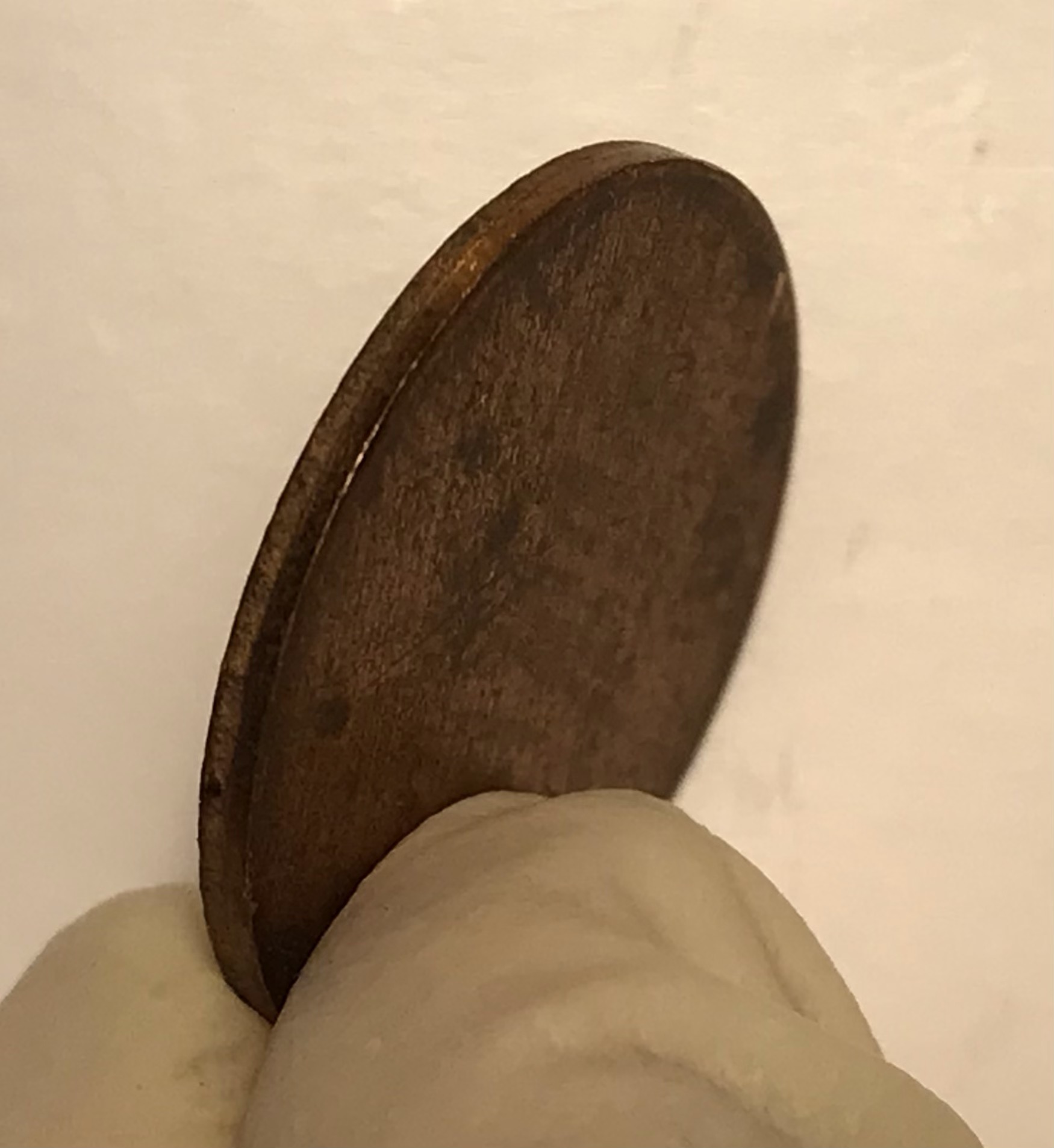 Blank-Planchet-Or-Slug-?