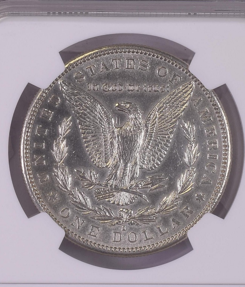 1884-S-Morgan-Dollar-Grading-Skills-Needed---First-Coin-I-Sent-To-NGC