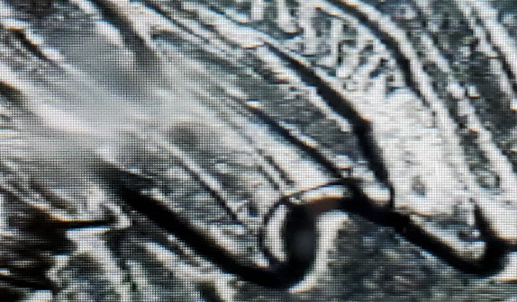 2014-Everglades-Quarter-Error