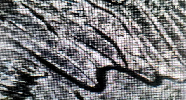 2014-Everglades-Quarter-Error