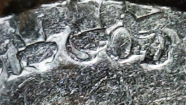 Jefferson-Nickel-Circling-Back-On-This.-With-More-Detailed-Pics