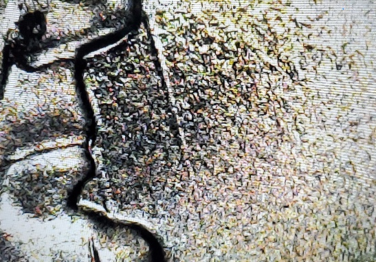 2021-Lincoln-Cent-No-Mint-Mark-With-Die-Breaks?