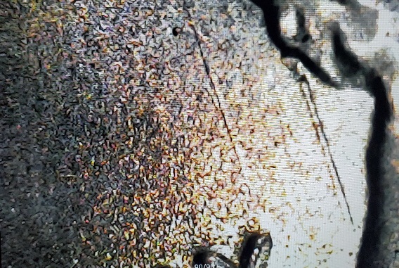 2021-Lincoln-Cent-No-Mint-Mark-With-Die-Breaks?