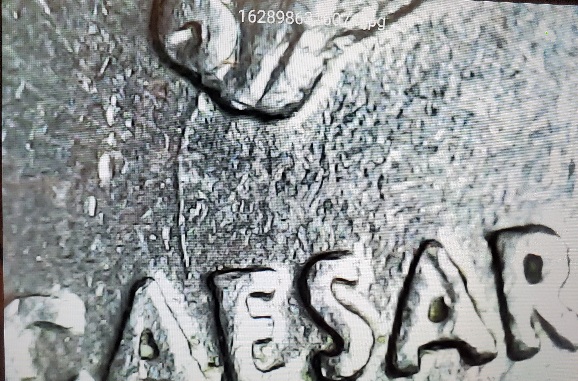 Some-New-Quarter-Finds-From-This-Week