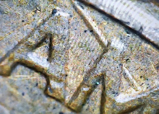 Some-New-Finds-From-This-Week-9/4---9/10