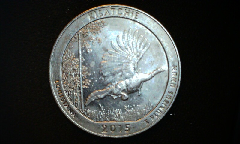2015-Kisatchie-ATB-Quarter-Input-Needed-Please!