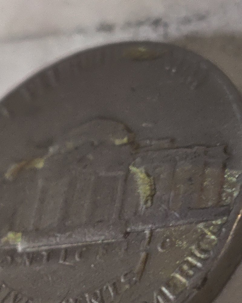 New-Collector-Please-Help.-1975-Nickel-Error?