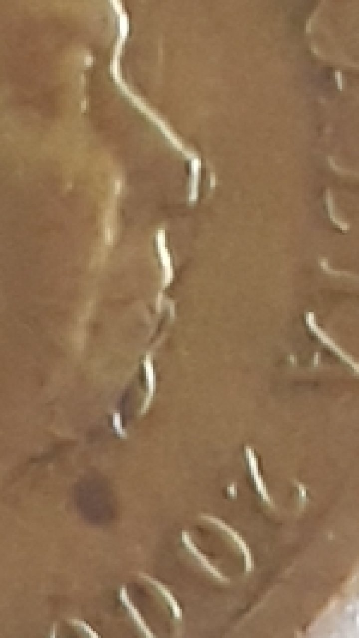 2000-$2-Coin-Multiple-Errors!-A-Must-See!