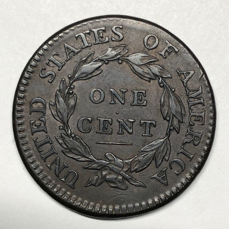 The-Varieties-Of-Classic-Head-Large-Cents