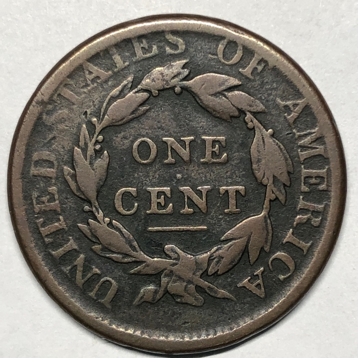 The-Varieties-Of-Classic-Head-Large-Cents