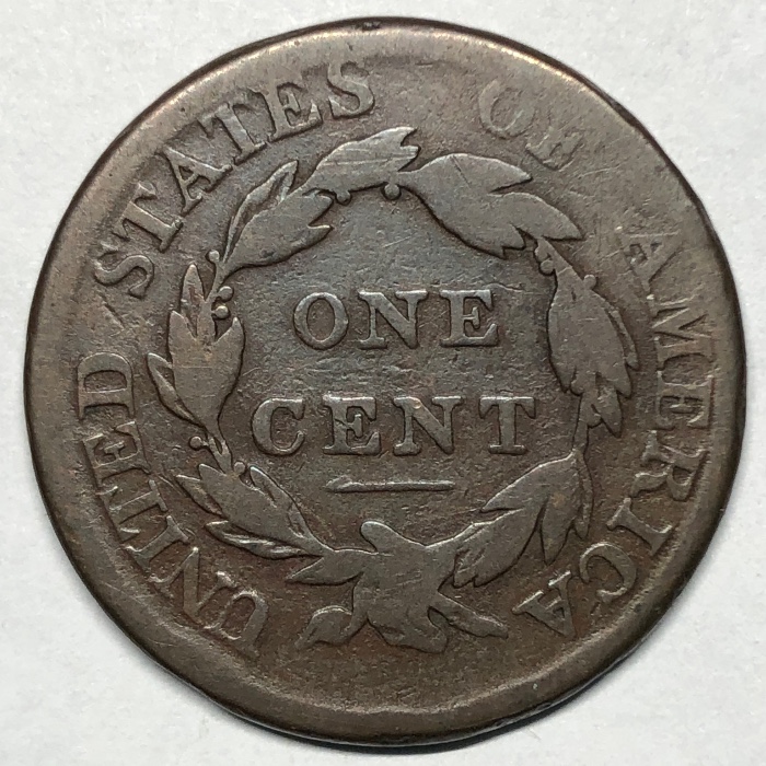 The-Varieties-Of-Classic-Head-Large-Cents