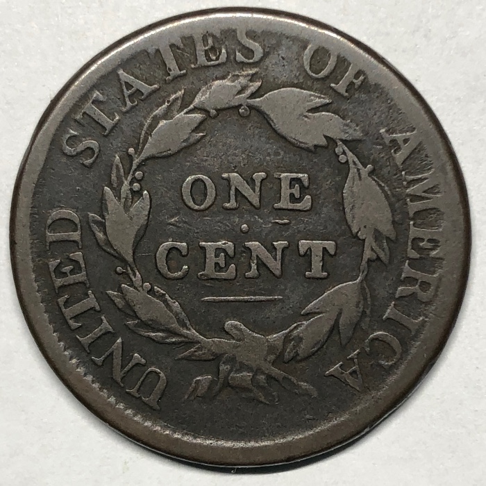 The-Varieties-Of-Classic-Head-Large-Cents
