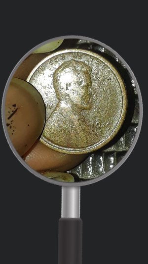 I-Found-This-Wheat-Penny!