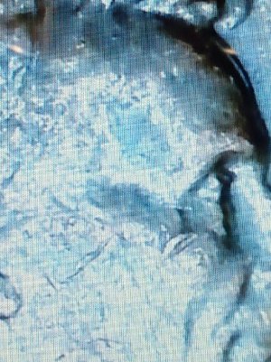 Is-This-A-Double-Die-On-Lincoln's-Forehead-1969-D