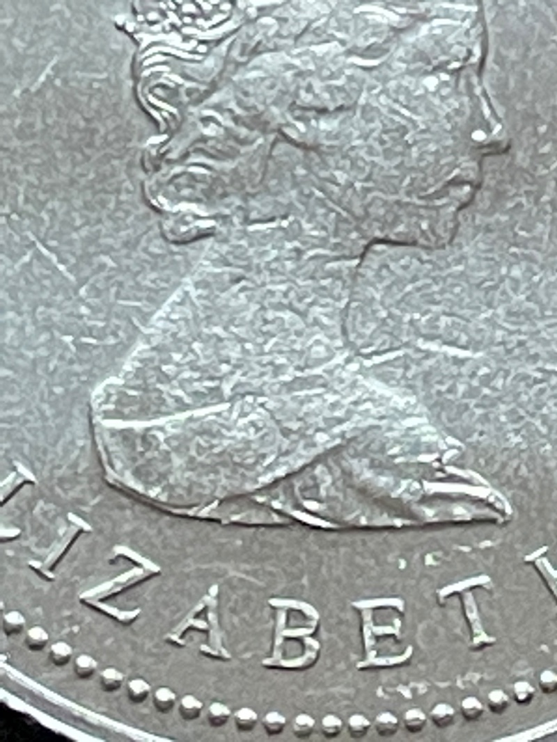 Odd-1982-Canadian-Confederation-Dollar-Coin