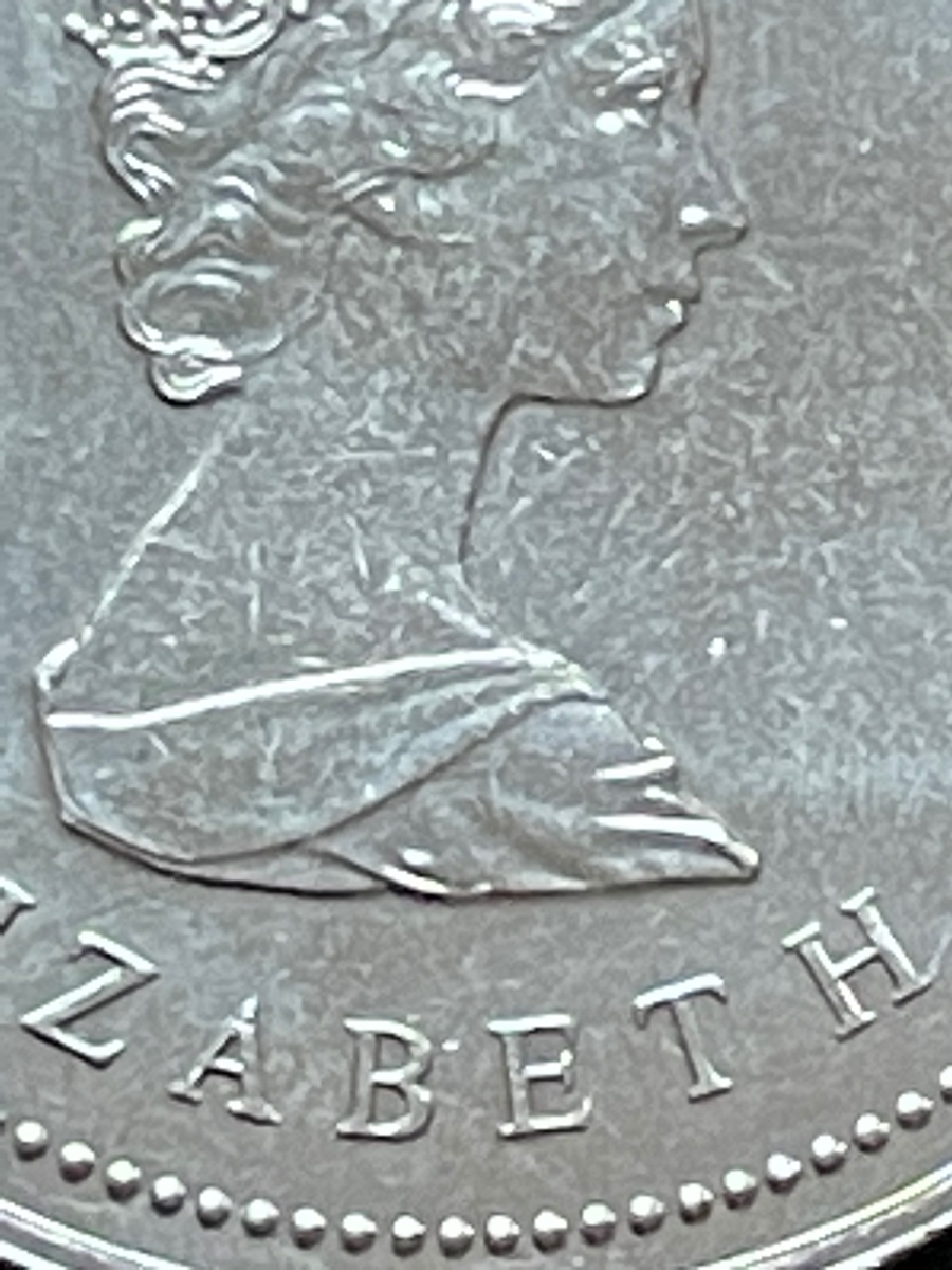 Odd-1982-Canadian-Confederation-Dollar-Coin