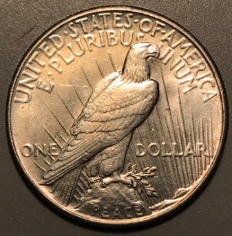 1928-P-Peace-Dollar---Grading-Opinions
