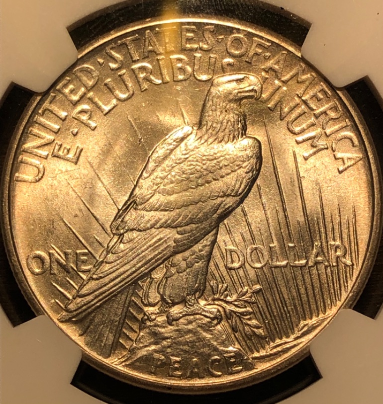 1921-Peace-Dollar---You-Vs-NGC