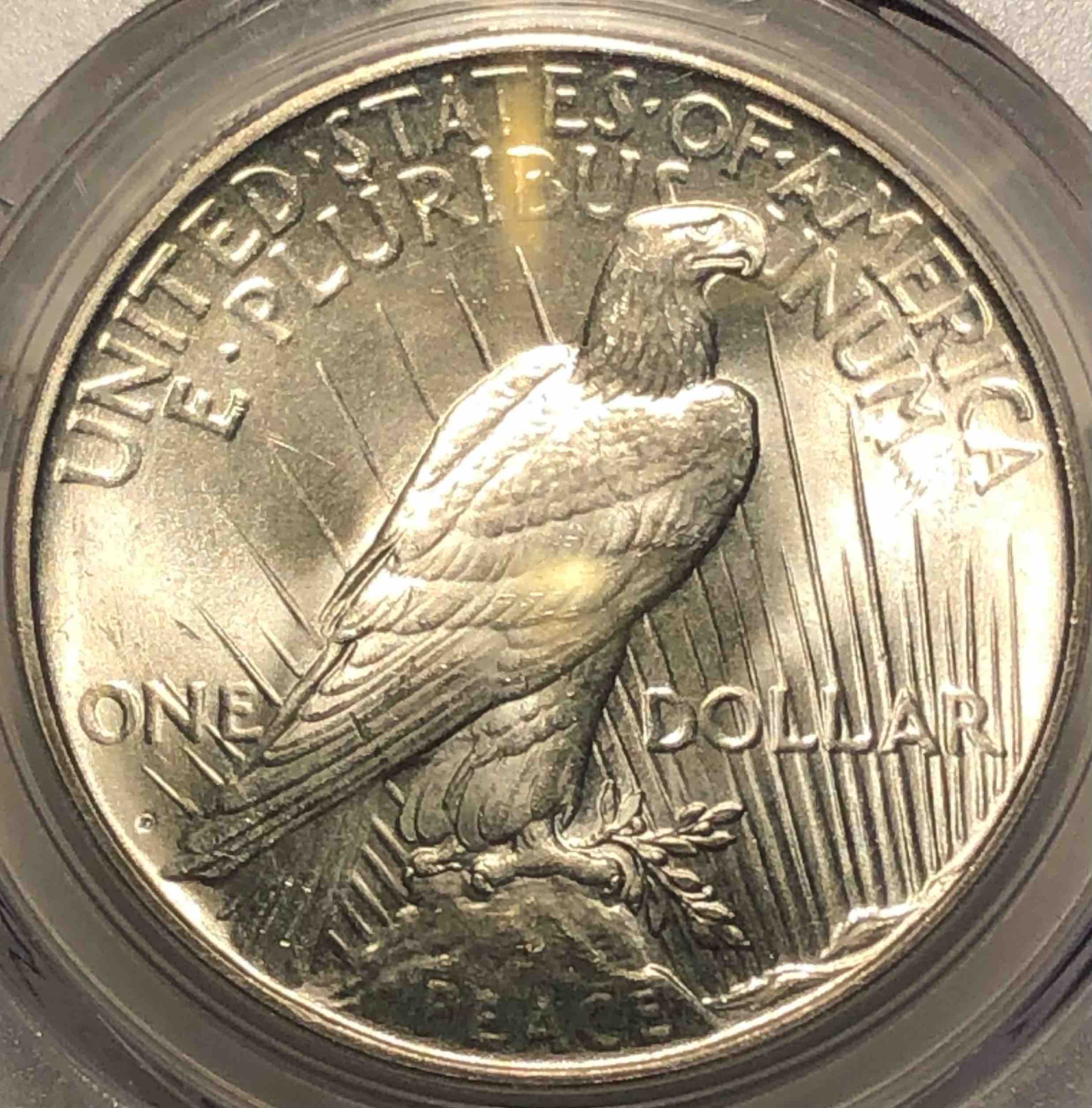 1927-D-Peace---You-Vs-PCGS