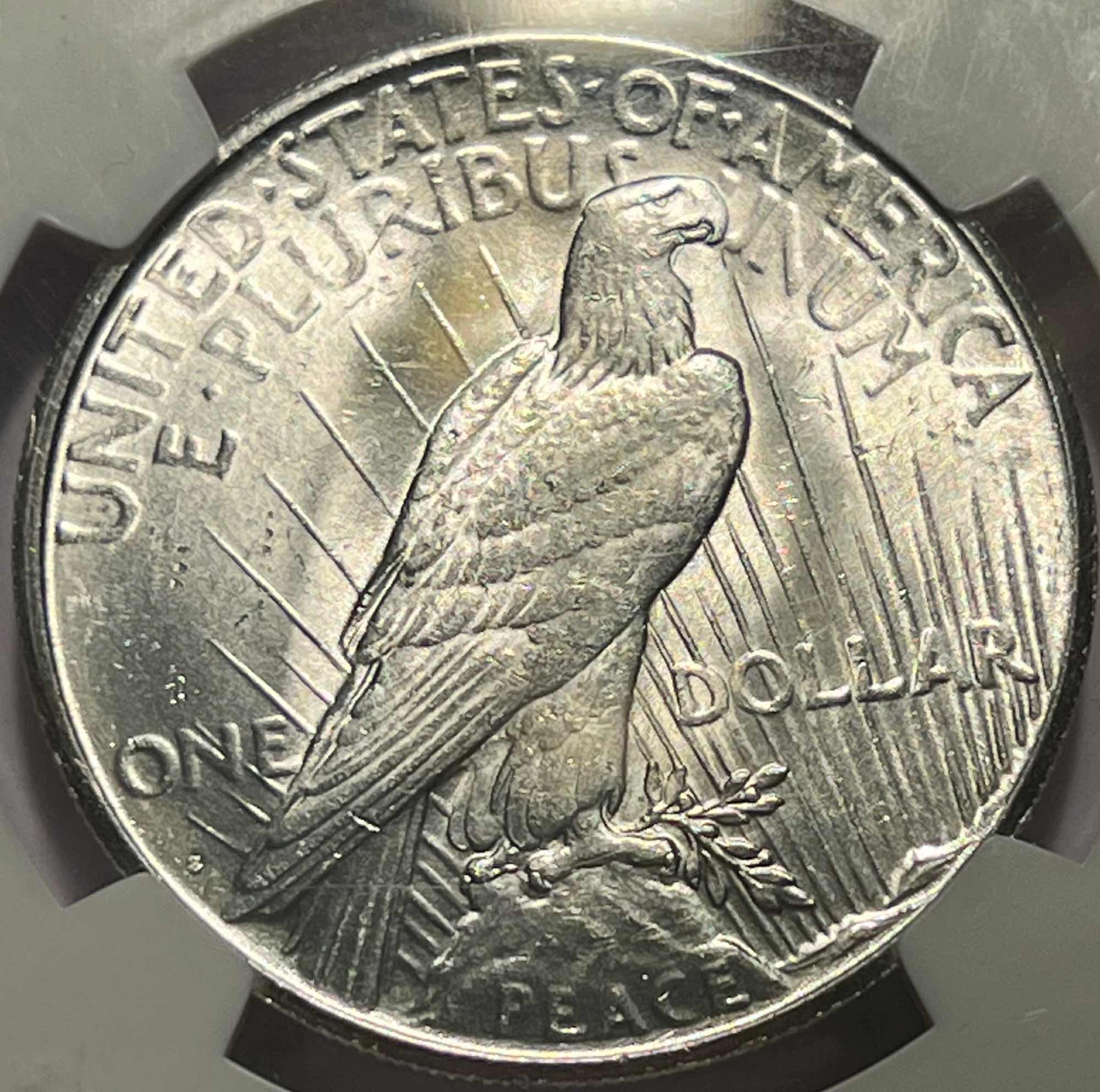1923-S-Peace-Dollar---You-Vs-NGC