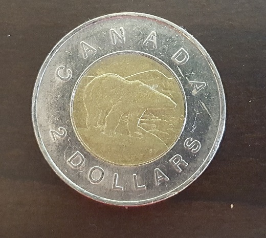 Canadian-Roll-Hunting