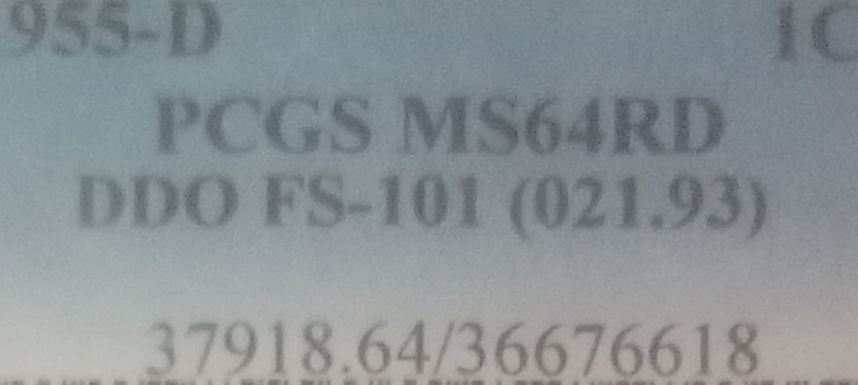 Wondering-What-This-55-DDO-Was-Worth