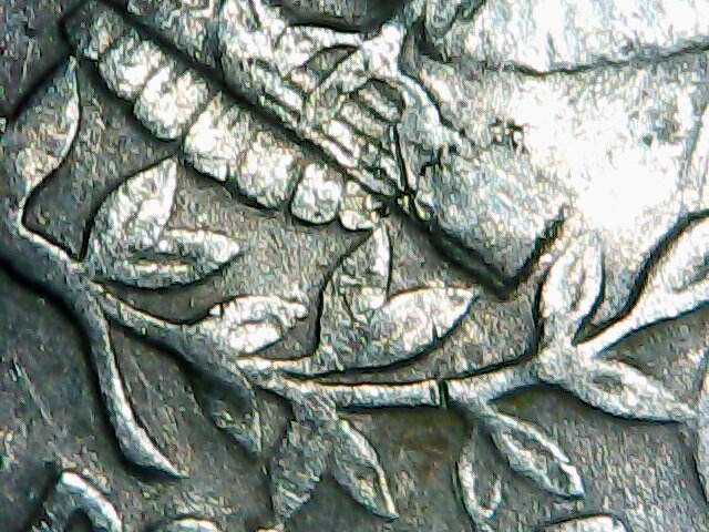 Is-This-Washington-Quarter-Dollar-An-Error-Coin