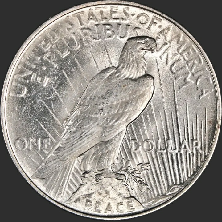 1922-Peace-Dollar-Having-Trouble-With-VAM