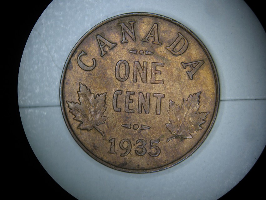 1935-Canadian-1-Cent-/-Is-It-A-Woody
