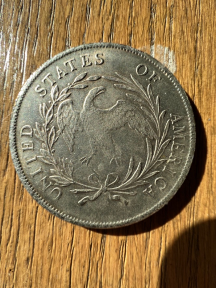 1796-15-Star-Liberty-Coin,-Real-Or-Fake