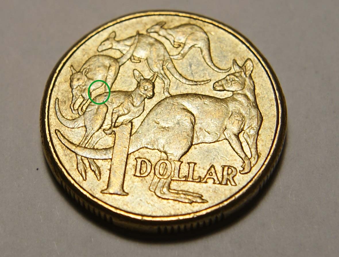 2009-$1-Coin-Kangaroo-Missing-A-Leg?
